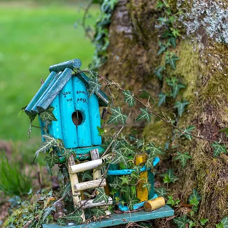 Saffier Zuid-limburg Semesterbostad Simpelveld