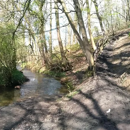 Saffier Zuid-limburg * Simpelveld