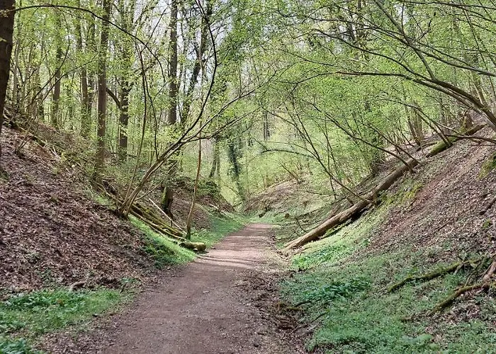 Дом отдыха Saffier Zuid-limburg