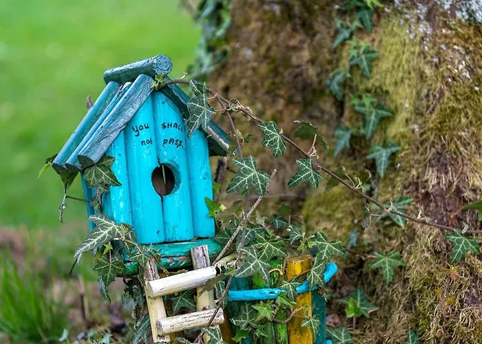 Saffier Zuid-limburg Дом отдыха Симпелвелд