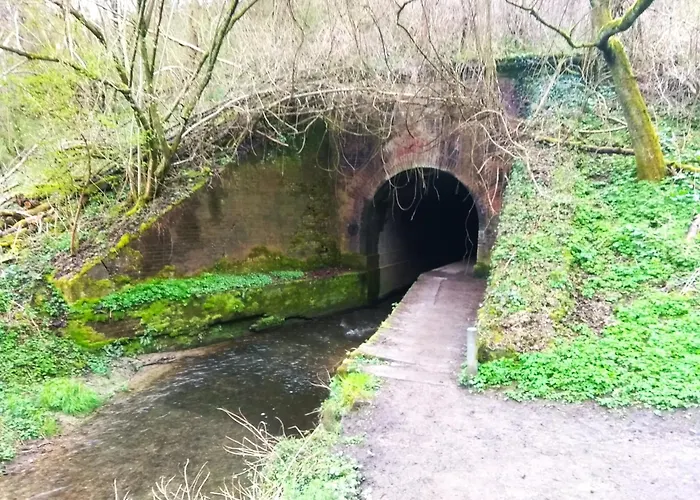 Saffier Zuid-limburg