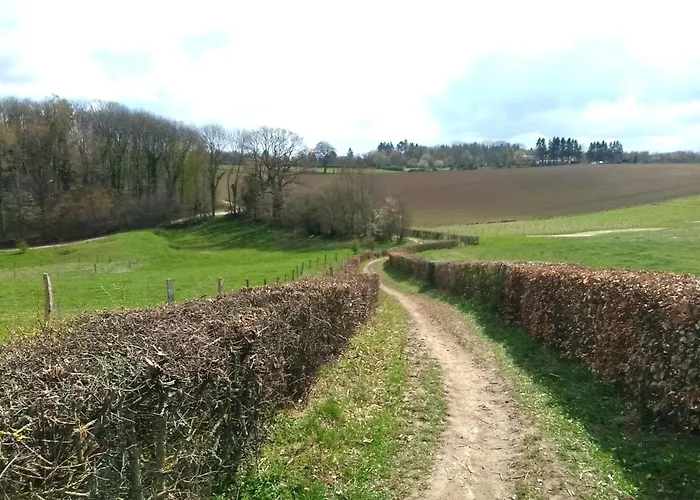 Saffier Zuid-limburg *