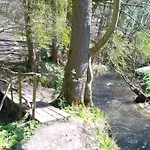 Saffier Zuid-limburg