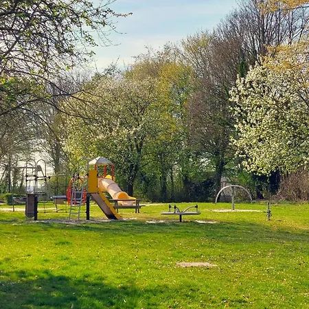 Saffier Zuid-limburg *