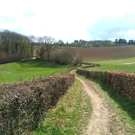 Saffier Zuid-limburg *