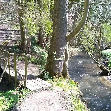 Saffier Zuid-limburg