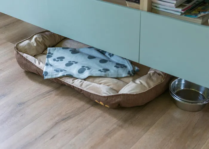 Saffier Zuid-limburg Simpelveld