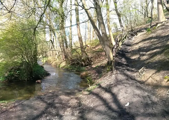 Saffier Zuid-limburg * Simpelveld