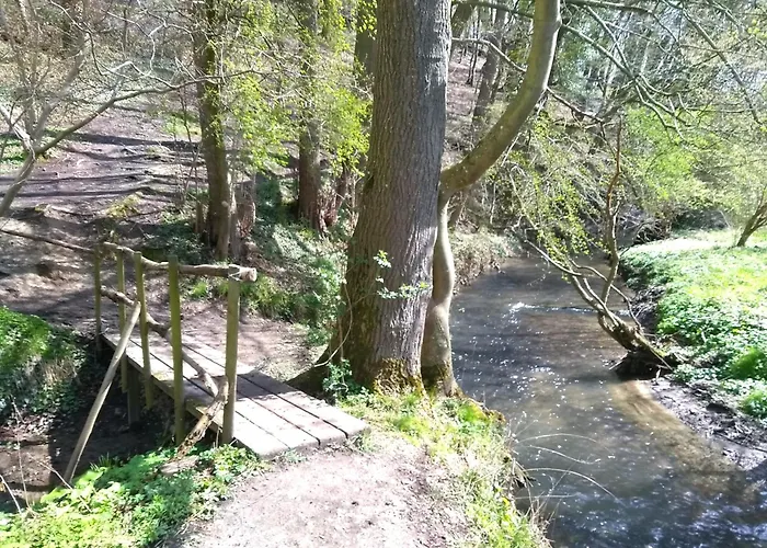 Saffier Zuid-limburg